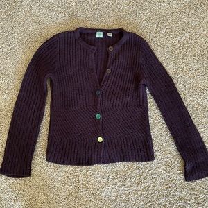 anthropologie maroon sweater